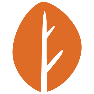 neverlyshall.com favicon